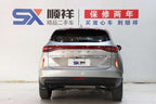 GWM H6 2022 3rd Generation 1.5T Automatic 2WD Max Used Car for Sale in Ghana -u22036300 | ZEEX AUTO