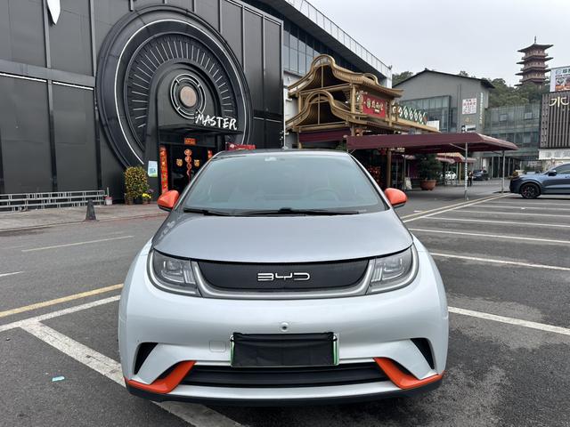 BYD Dolphin 2021 Fashion Edition -u22869689 | ZEEX AUTO